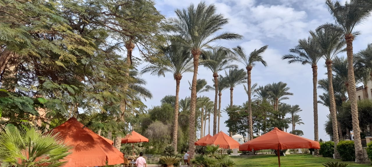 Gartenanlage Makadi Spa - Adults only