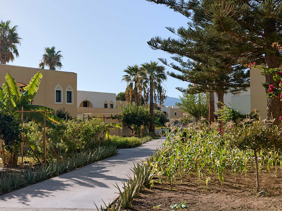 Gartenanlage Grecotel Casa Paradiso