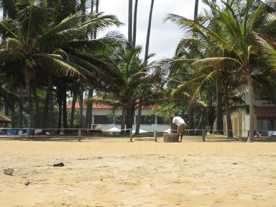 Blick in die Anlage Mermaid Hotel & Club