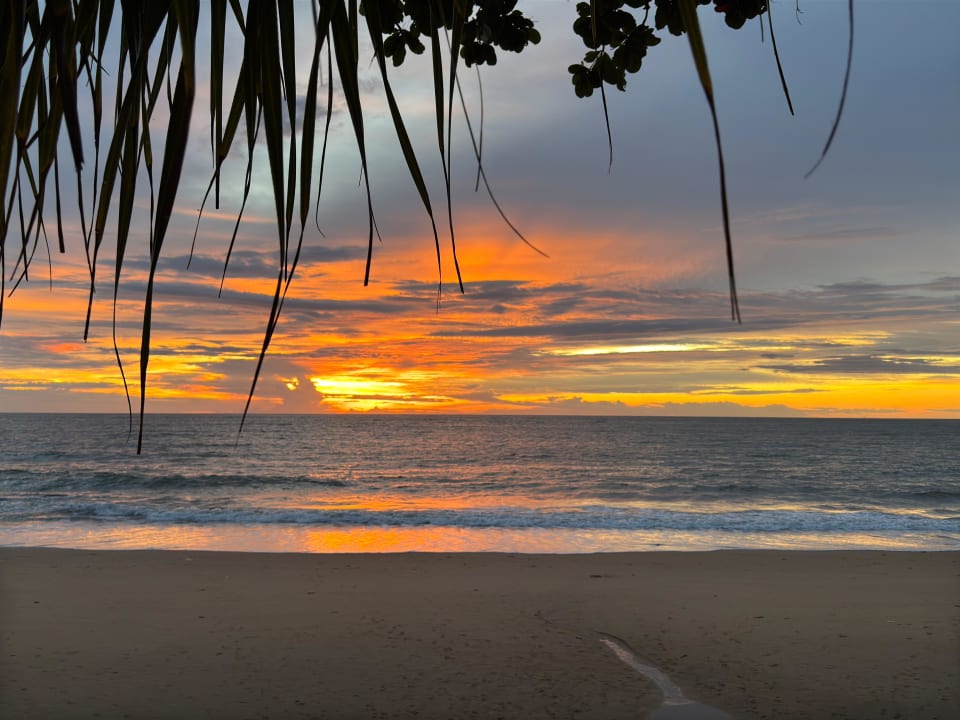 Ausblick Khao Lak Merlin Resort