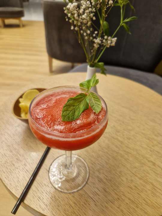 Gastro Seashell Vega