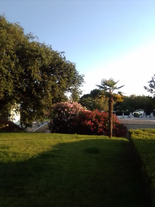 Gartenanlage Park Plaza Belvedere Medulin