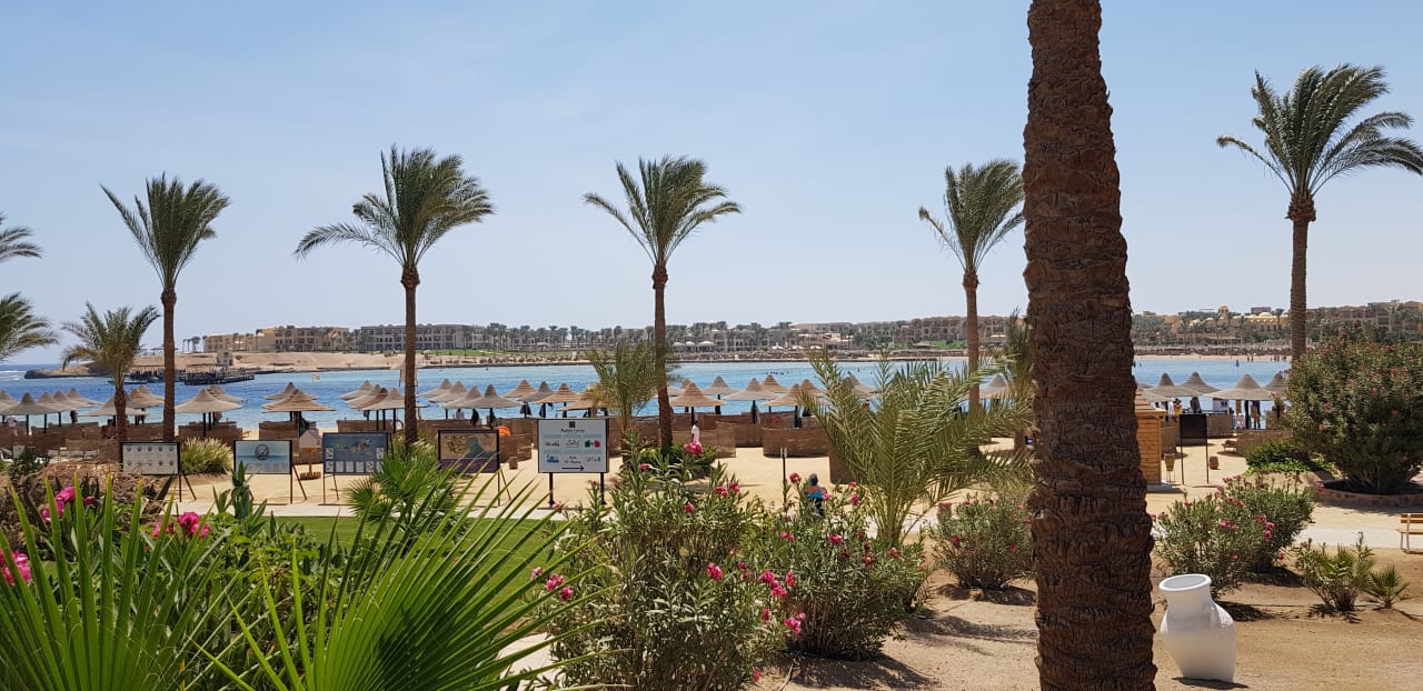 Strand Steigenberger Coraya Beach - Adults only