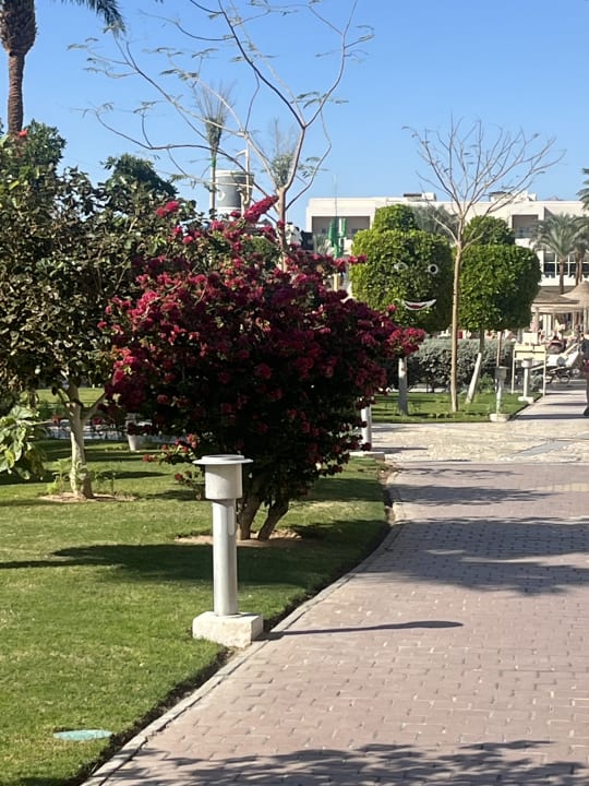 Gartenanlage Jaz Soma Beach