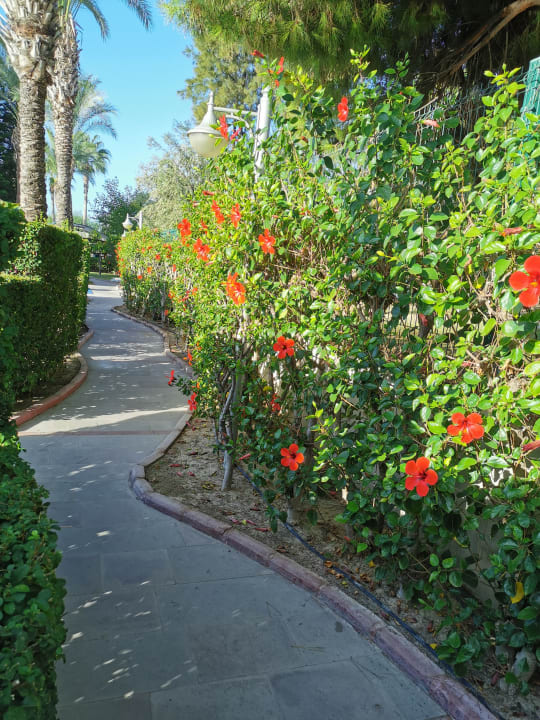 Gartenanlage Side Sun Hotel