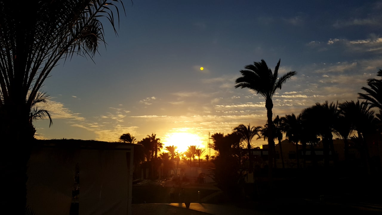 Ausblick Steigenberger Coraya Beach - Adults only