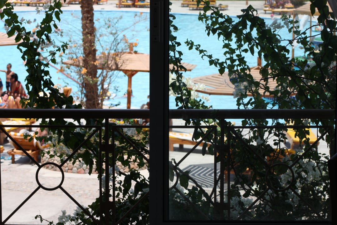 Jedyny plus to bliskość do brudnego basenu Desert Rose