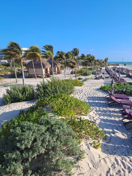 Strand Planet Hollywood Cancun Adult Scene by Royalton, An Autograph Collection All-Inclusive Resort - Adults Only
