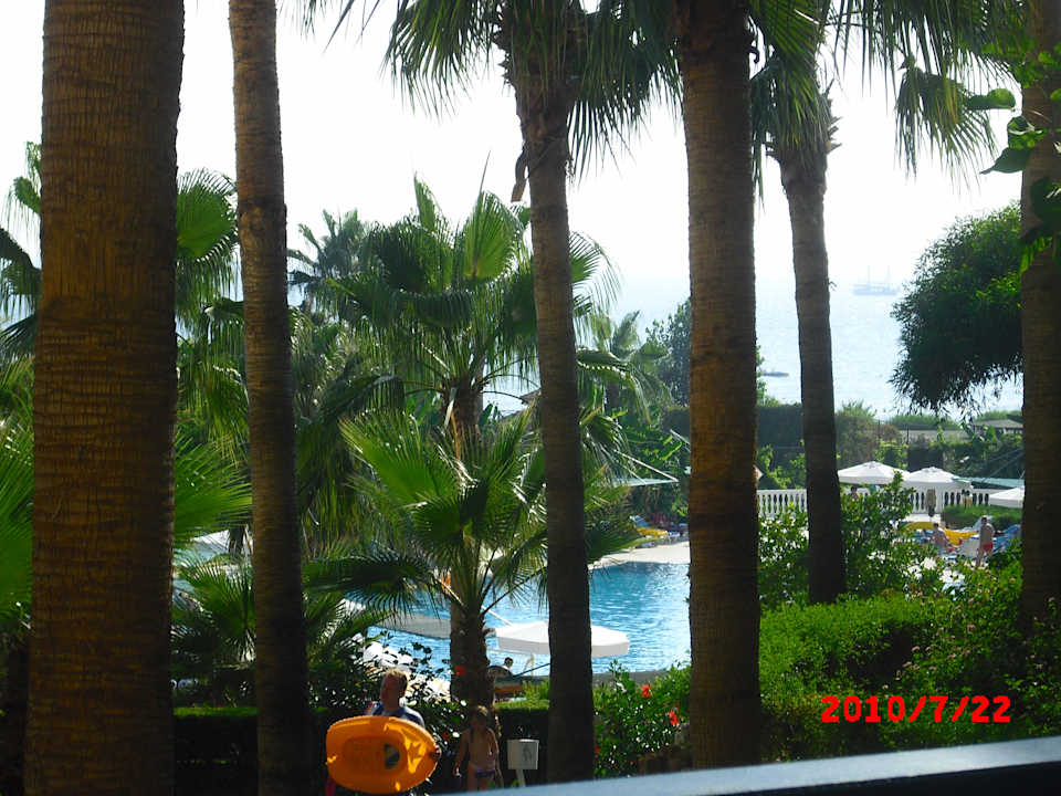 Blick vom Zimmer zum Pool Iz Flower Side Beach Hotel