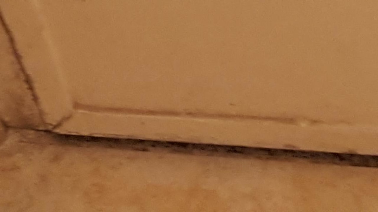 Zimmer Ghazala Gardens