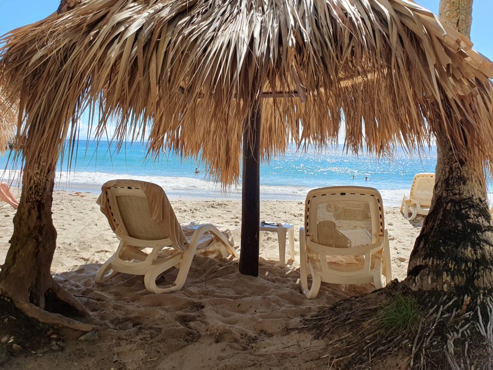 Strand Bahia Principe Grand Samana - Adults Only