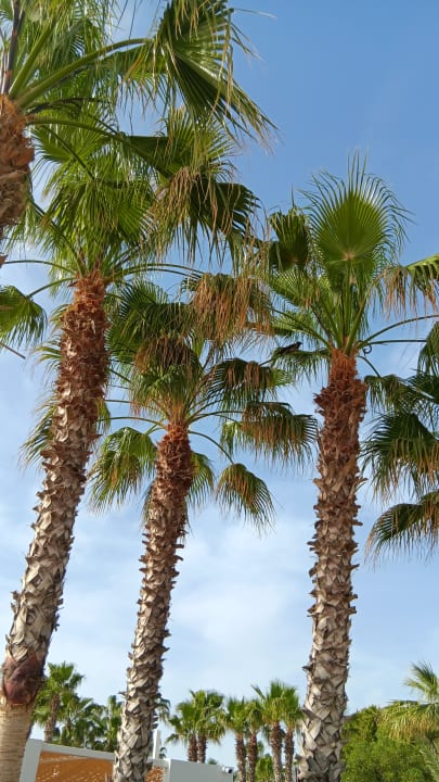 Strand Side Mare Resort & Spa