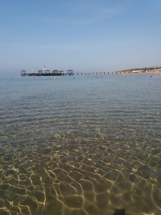 Mal ganz Still Mary Hotel Side