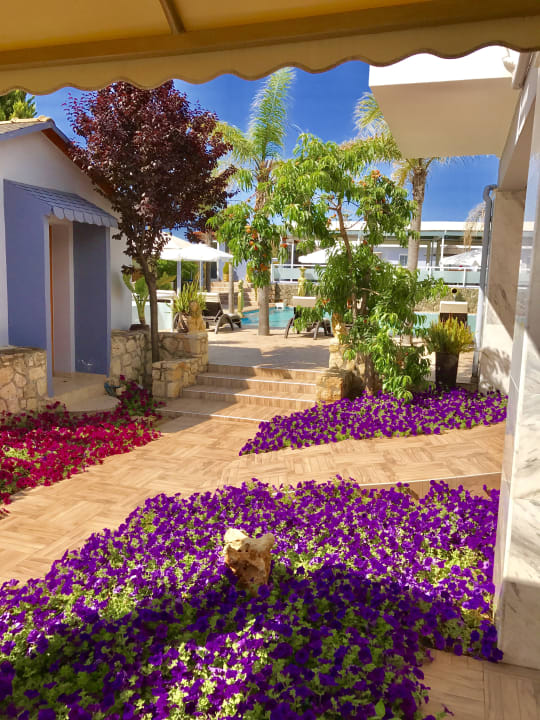 Gartenanlage Paradice Hotel