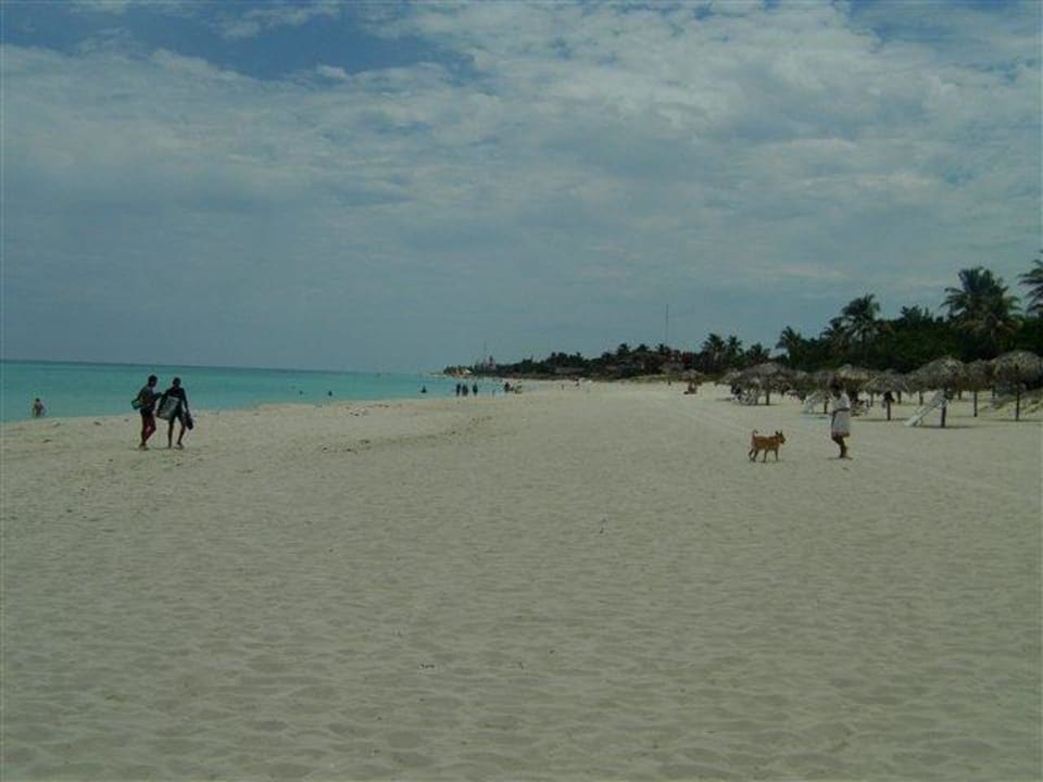 Soweit das Auge reicht Hotel Melia Varadero
