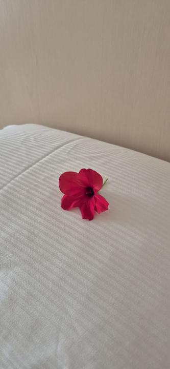 Zimmer Hilton Marsa Alam Nubian Resort