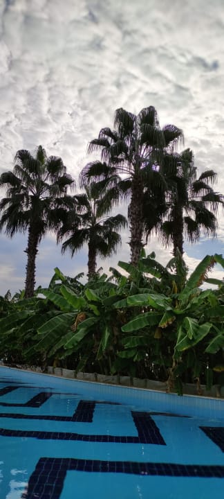 Pool Saturn Palace Resort Hotel