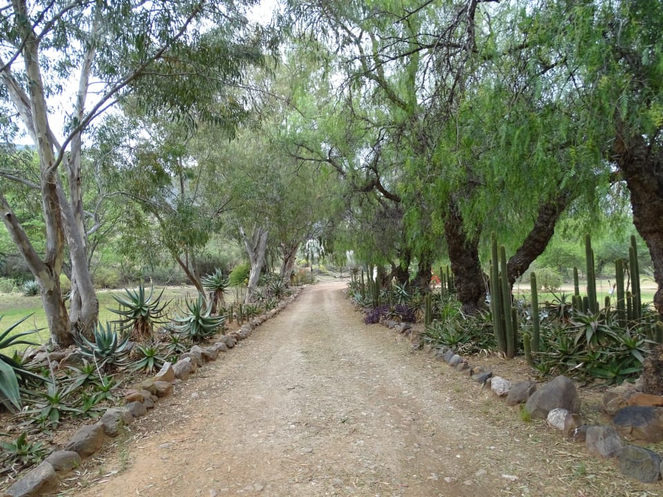 Einfahrt zur Farm Montana Guestfarm