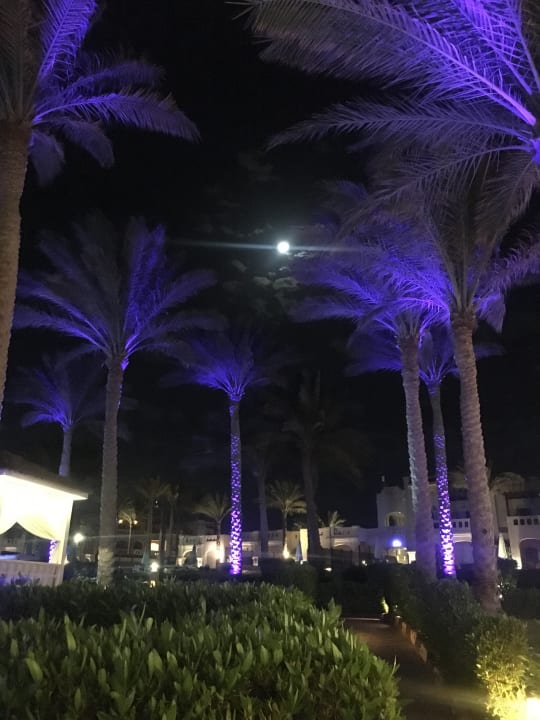 Gartenanlage Rixos Sharm El Sheikh Adults Only 18 +