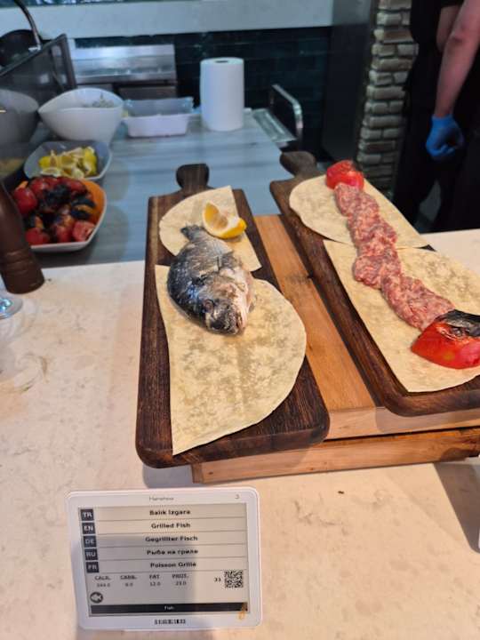 Gastro Seashell Vega