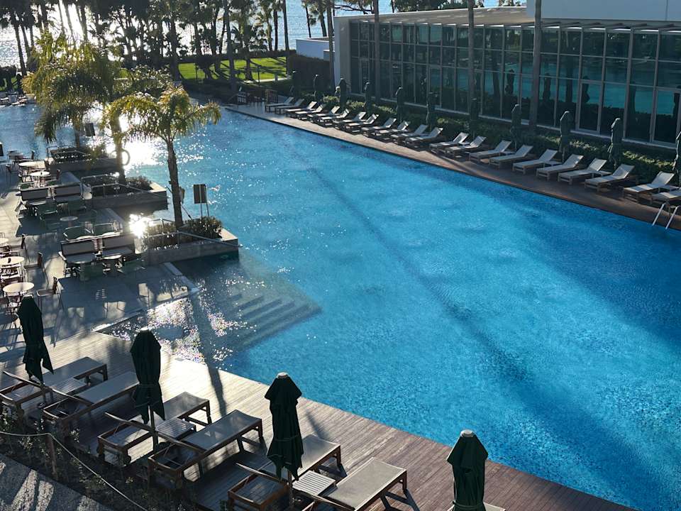 Pool Acanthus Cennet Barut Collection