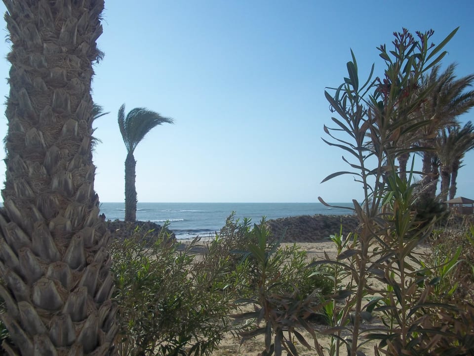 Ausblick von Terrasse Hotel El Mouradi Djerba Menzel