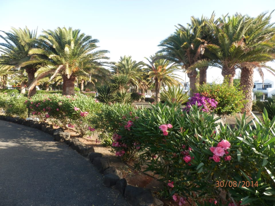 Zahrada Relaxia Olivina