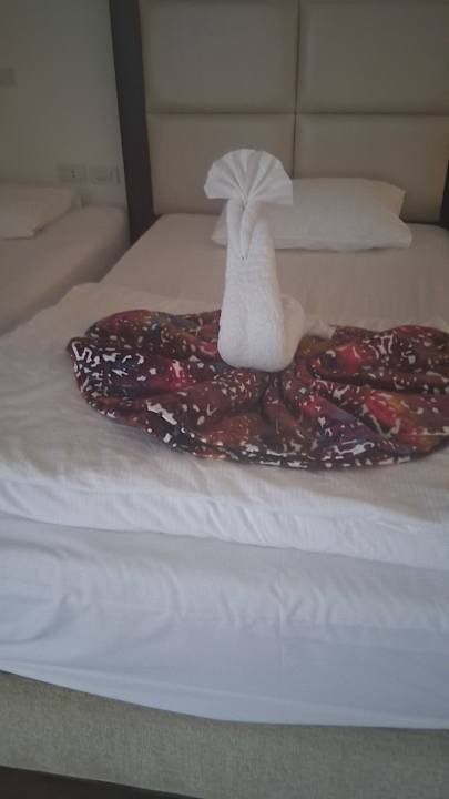 Zimmer Pickalbatros White Beach Resort - Hurghada