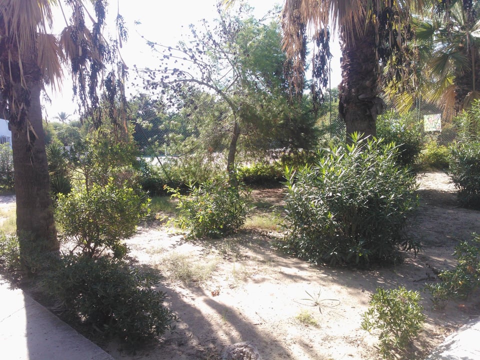 Garten Marhaba Royal Salem