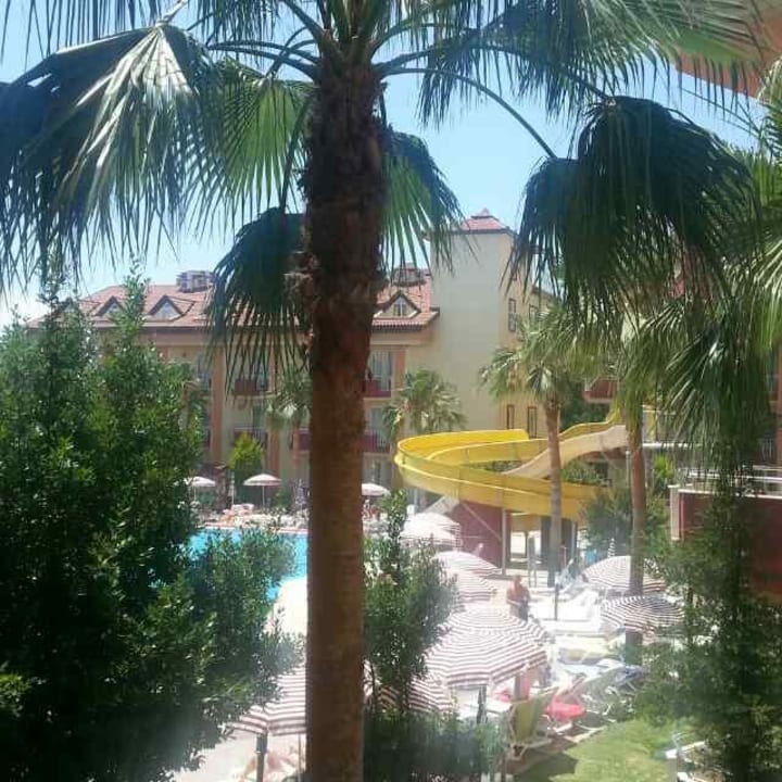 Aussicht vom Zimmer  Hotel Orfeus Park