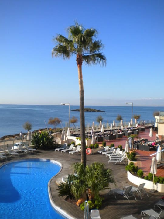 Blick auf den Pool AluaSoul Palma