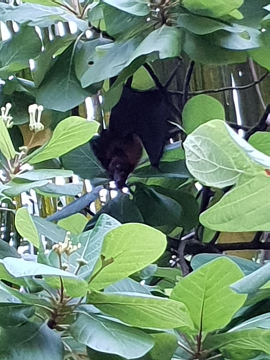 Sonstiges Meeru Maldives Resort Island