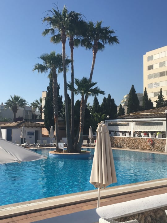 Pool Hipotels Mediterraneo Club