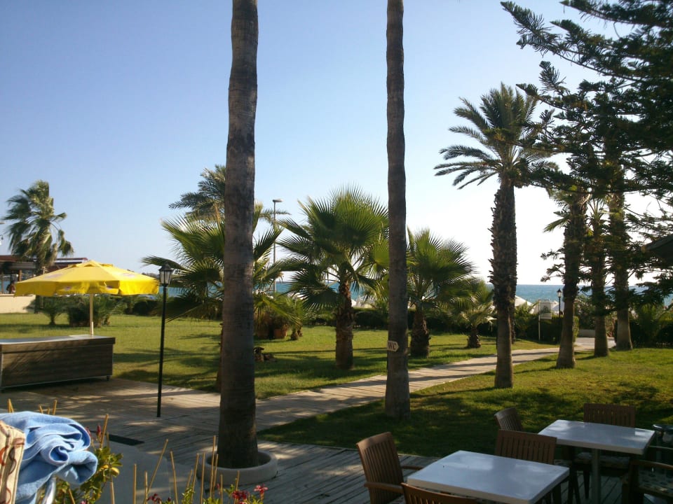 Poolanlage Nerton Hotel - Erwachsenenhotel ab 16 Jahren