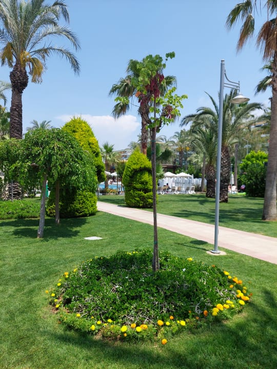 Gartenanlage Belek Beach Resort Hotel