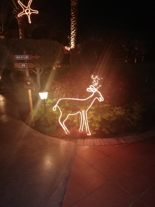 Gartenanlage Steigenberger Coraya Beach - Adults only