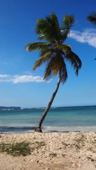 Am Strand Richtung Las Galeras Wyndham Alltra Samana
