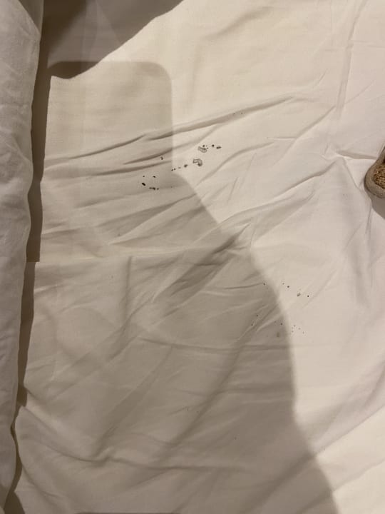 Zimmer XO Hotels Blue Tower