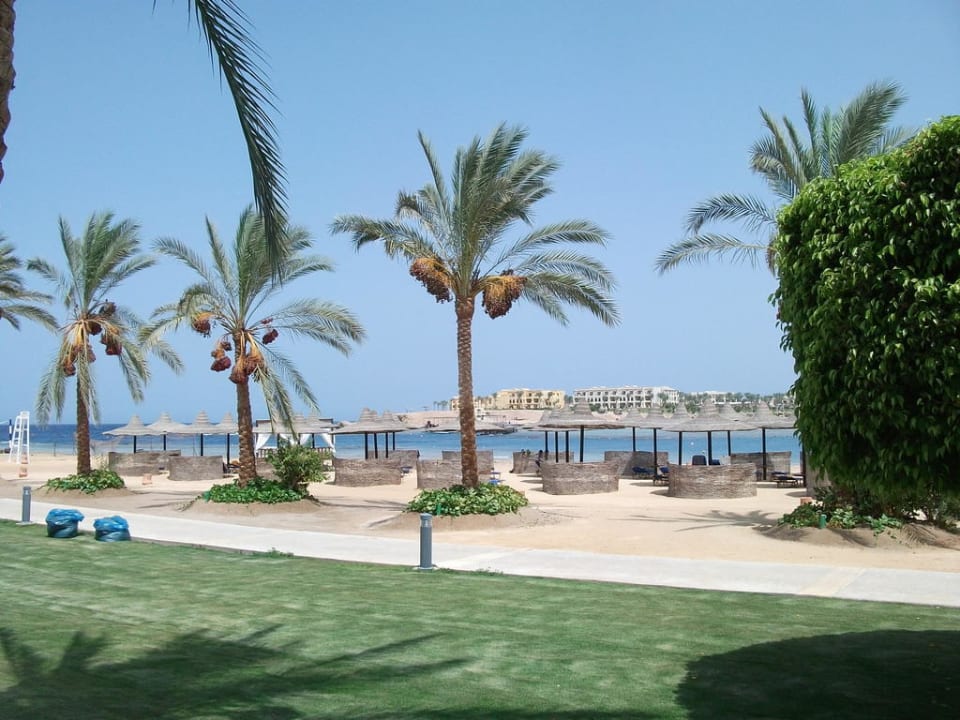 Blick auf den Strand Steigenberger Coraya Beach - Adults only