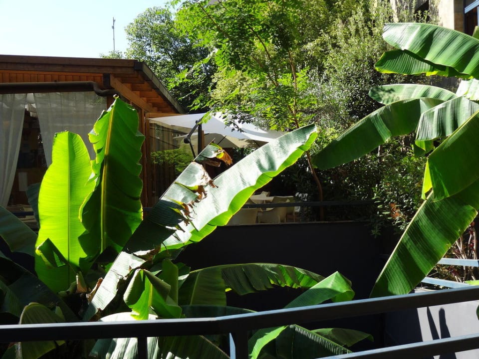 Terrasse fürs Frühstück Hotel Abitart