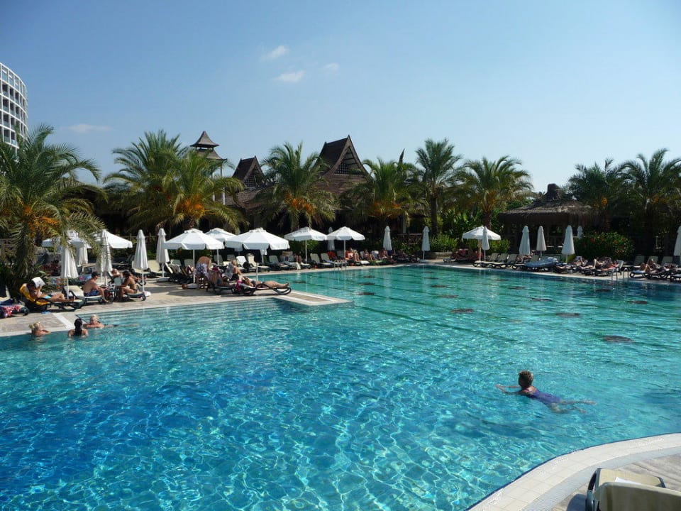 Traumhaft! Royal Wings Hotel