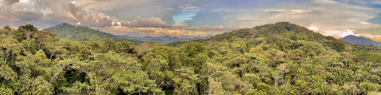 Ausblick Summit Rainforest & Golf Resort