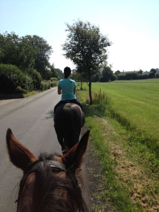 Ausritte Ferienhof Lehbekwiese