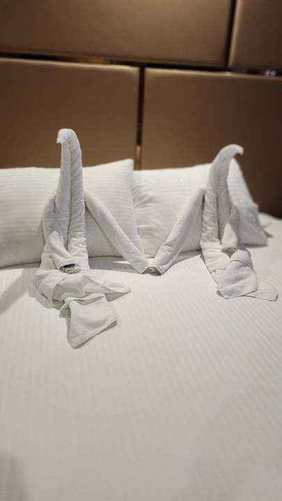 Zimmer Arycanda Kirman Premium