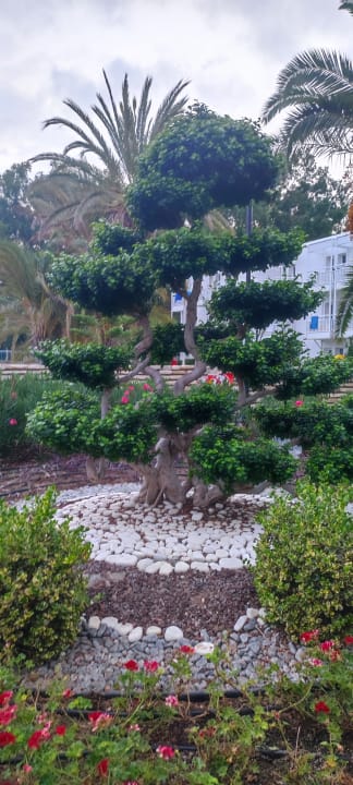 Gartenanlage Monachus Family Resort Sorgun