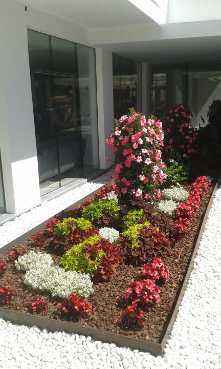 Gartenanlage Millor Sol