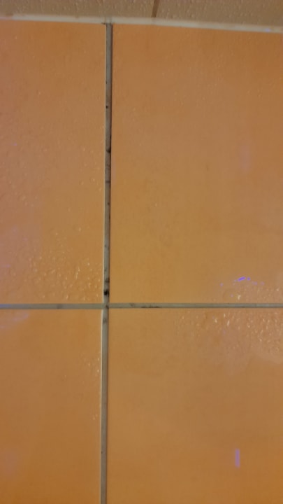 Zimmer Thermenwelt Hotel Pulverer