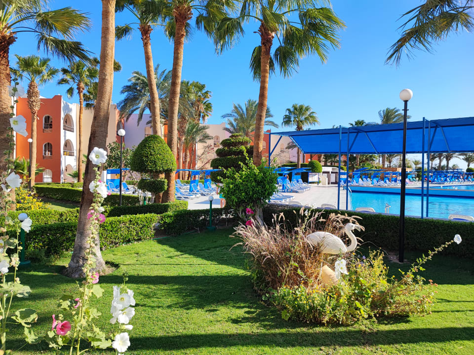 Gartenanlage Arabia Azur Resort