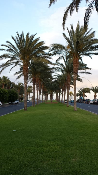 Hauptstraße  Occidental Jandía Playa