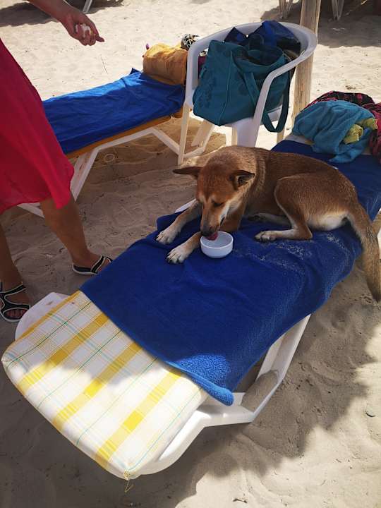 Strand Hotel Eden Star